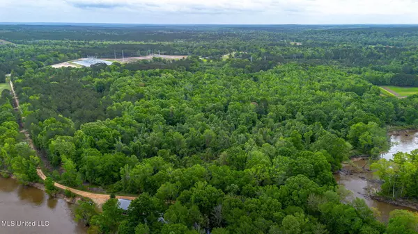 4175 Acres Oatis Camp Lane, Columbia, MS 39429