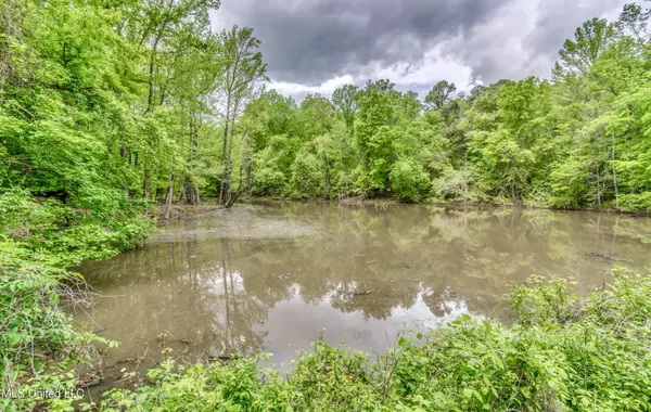 Bentonia, MS 39040,1309 Highway 49 Frontage Road