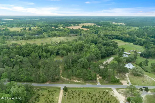 Lucedale, MS 39452,13 +/- Ac Basin Central Road