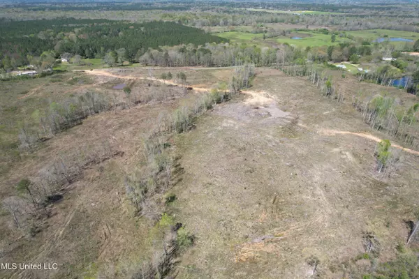 Forest, MS 39074,Harrison Road