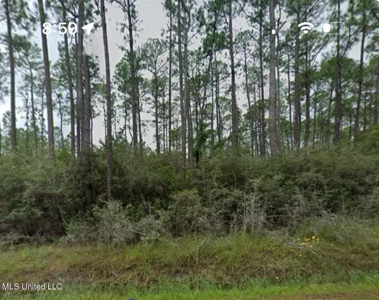 Orange Grove Road, Moss Point, MS 39562