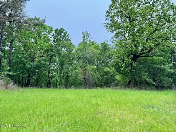 Carrollton, MS 38917,Cr 375