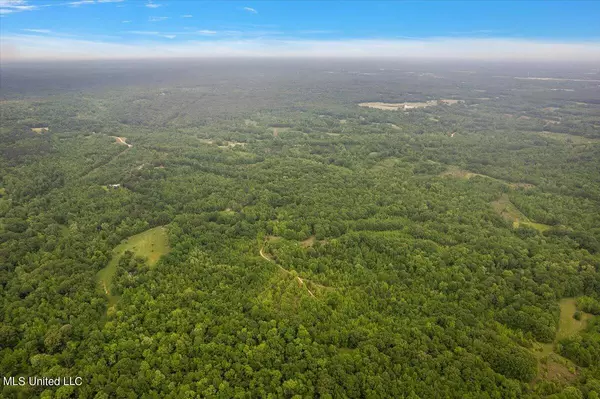 Bentonia, MS 39040,Whiskey Ridge Road