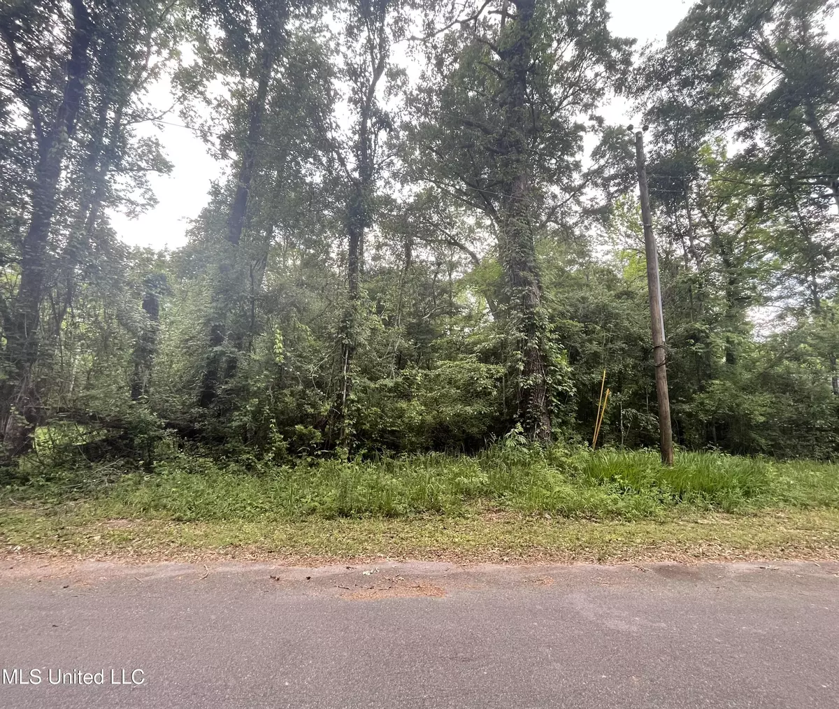 Lucedale, MS 39452,Holly Drive