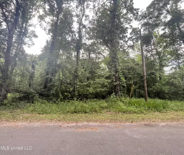 Holly Drive, Lucedale, MS 39452