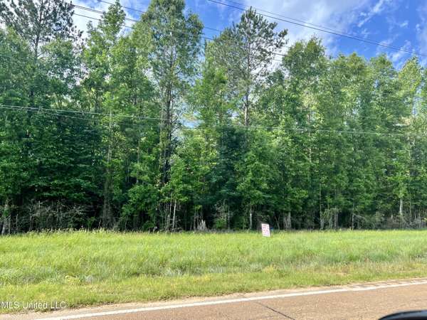 Lot 9 Hwy 24, Centreville, MS 39631