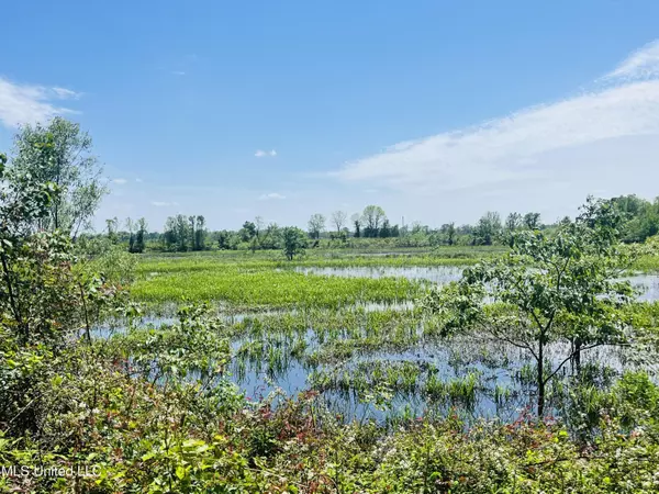 Belzoni, MS 39038,Reed Road Road