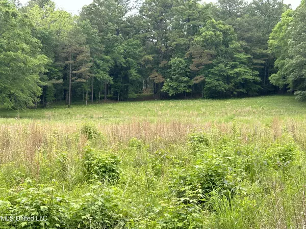 Bolton, MS 39041,13780 Ms-22