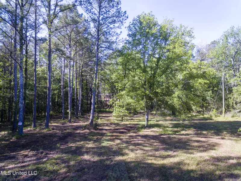 1900 Crawford Circle, Lena, MS 39094