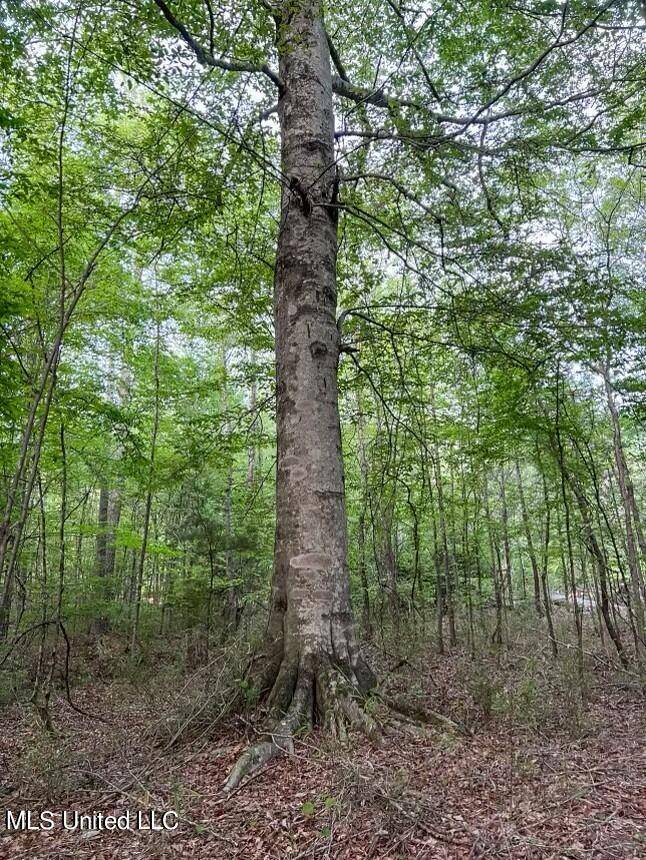 Brandon, MS 39042,0 Ashley Road