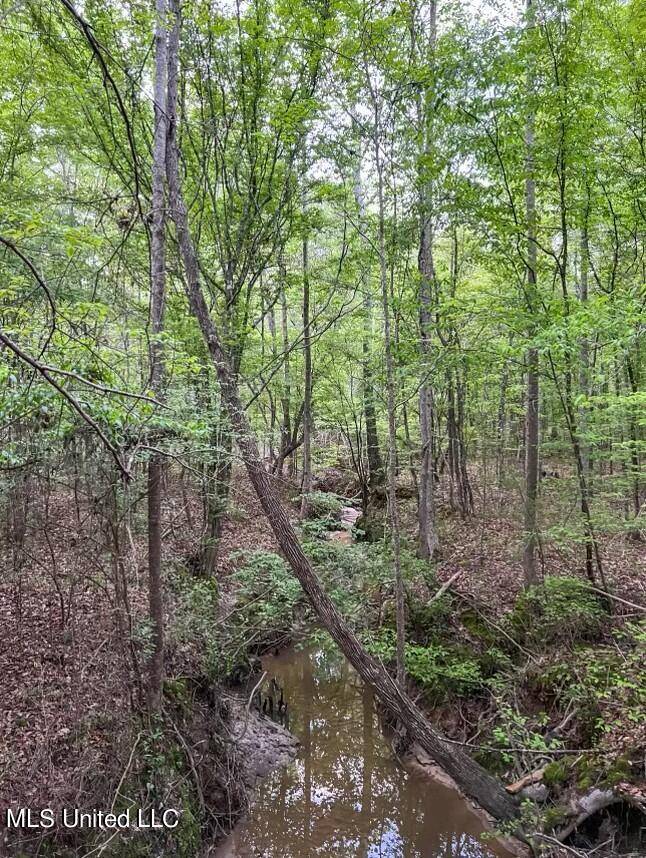 Brandon, MS 39042,0 Ashley Road
