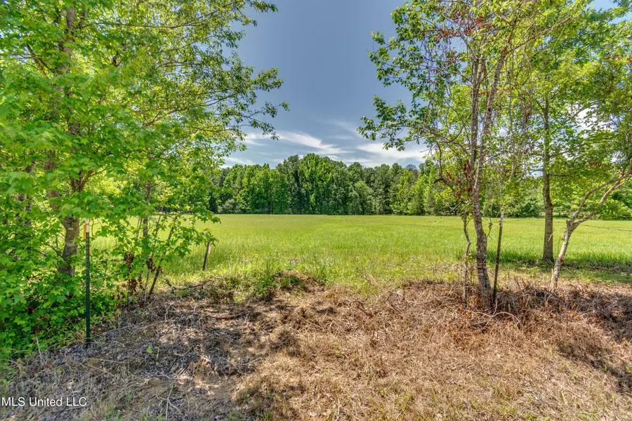 Stout Road, Canton, MS 39046