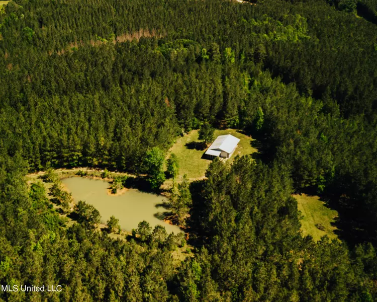 6098 Wroten Road, Smithdale, MS 39664