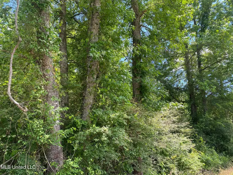 Hopoca Road, Carthage, MS 39051