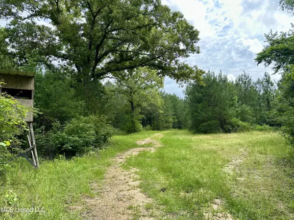 0 Old State Line Road, Tylertown, MS 39667