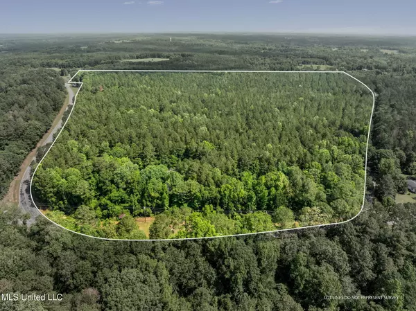 Seminary, MS 39479,82 Acres Mol Shirley Sanford Road