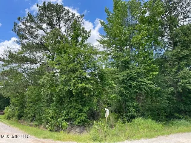 Forest, MS 39074,N Little River Road