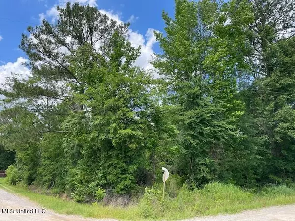 N Little River Road, Forest, MS 39074