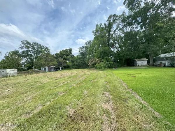 0 Palestine Road, Picayune, MS 39466