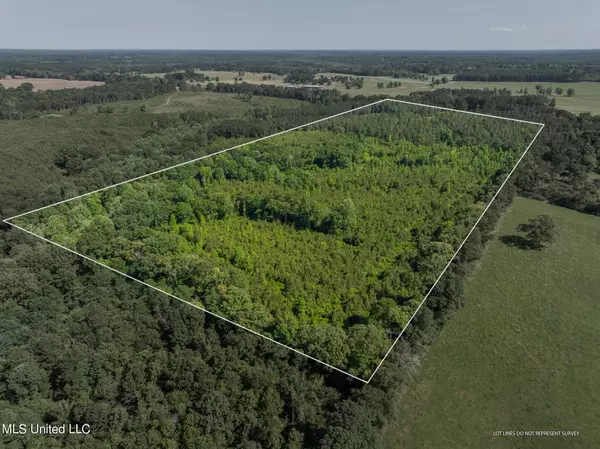 Bassfield, MS 39421,45 Acres Hwy 42