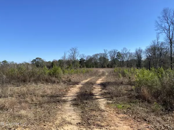 Forest, MS 39074,10409 Ms 21