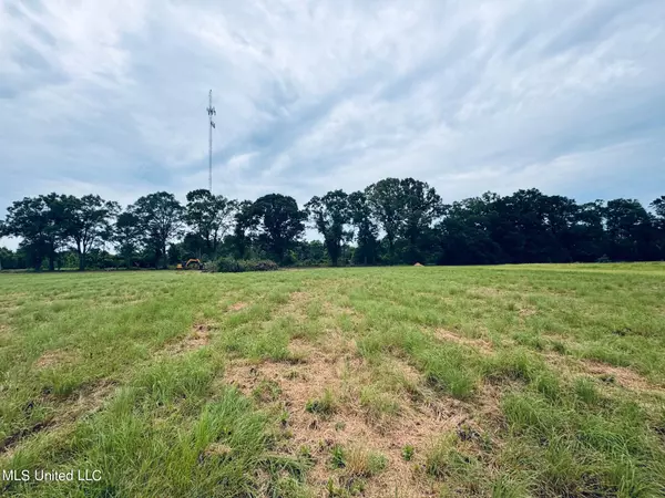 Lucedale, MS 39452,7.34 Acres Webb Dairy Rd Road