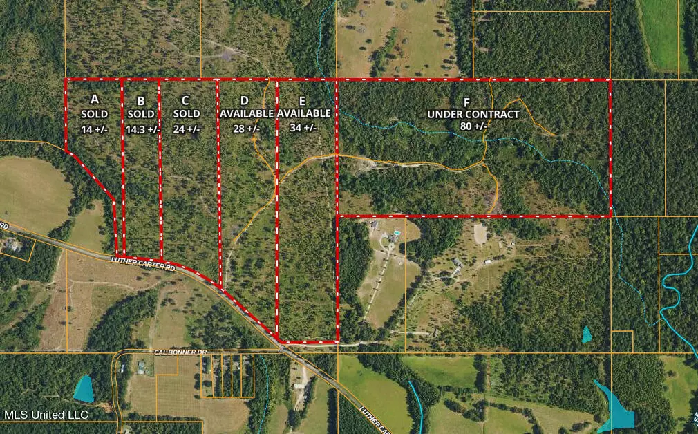 Petal, MS 39465,80 +/- Acres Luther Carter Road