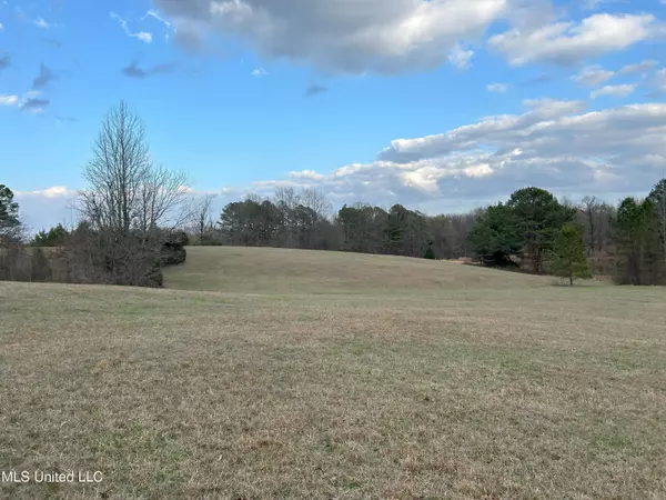 Enid, MS 38927,Teasdale Road