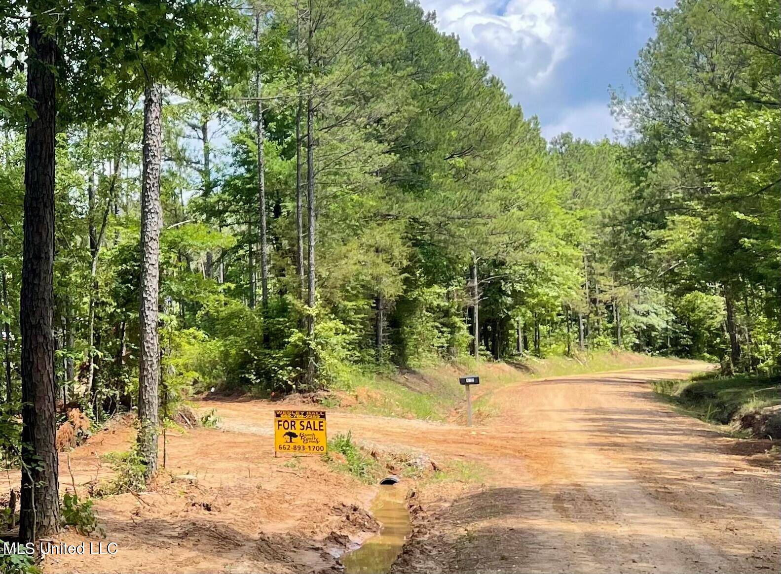 Green Door Rd Road, Eupora, MS 39744