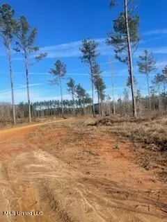 Collinsville, MS 39325,Newton County Martin Road