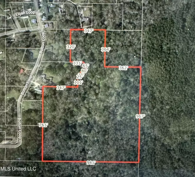 0 Bolton Loop, Beaumont, MS 39423