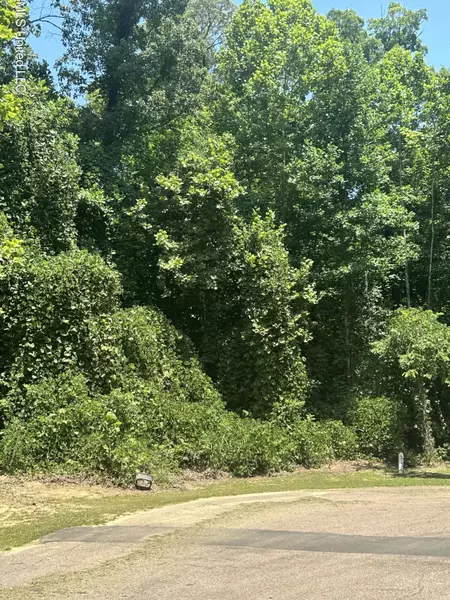 7142 Soaring Oaks Cove, Walls, MS 38680