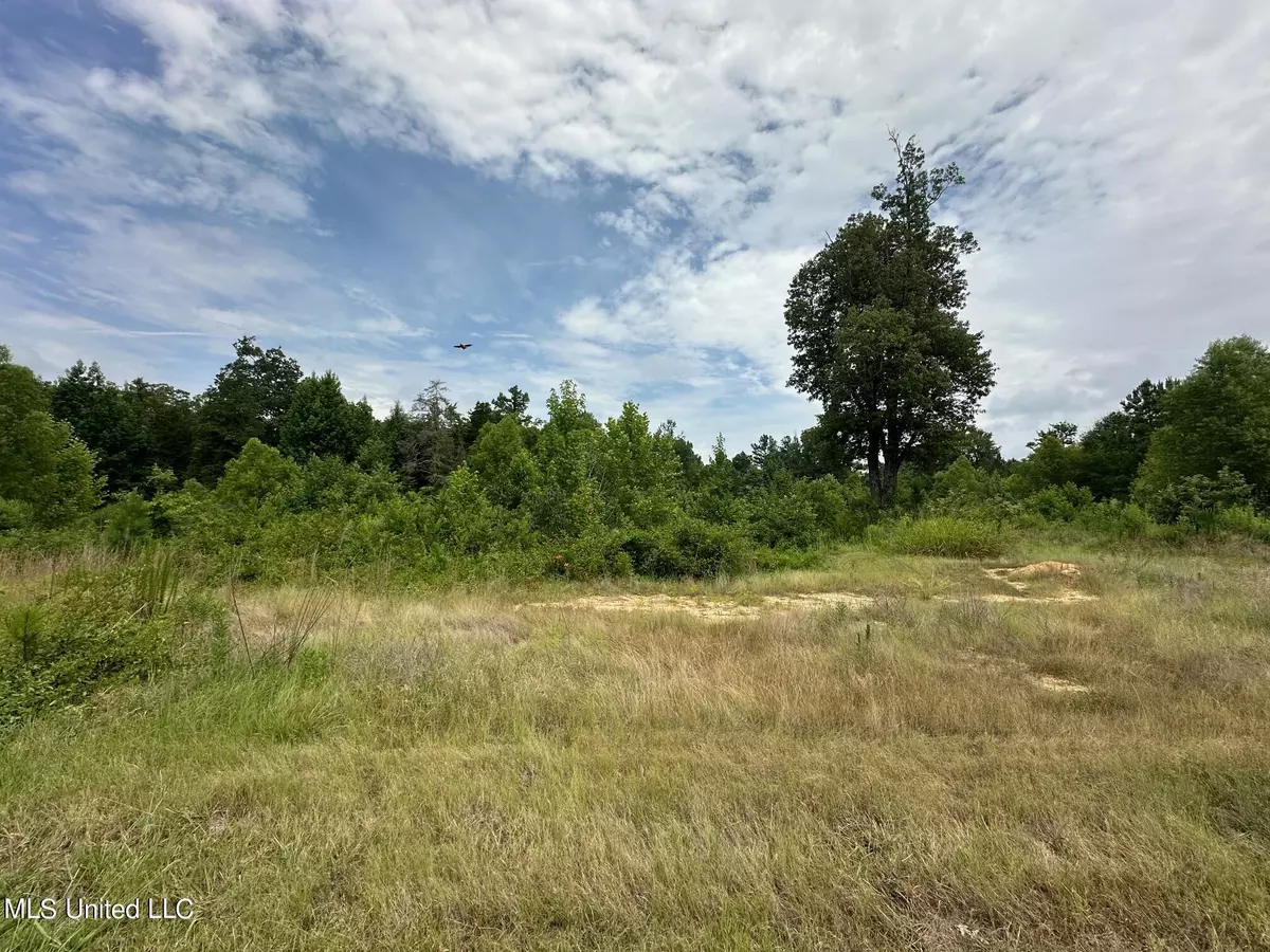 Byhalia, MS 38611,11554 Hidden Acres Drive