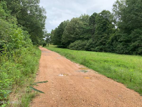 0 Arkabutla Road, Coldwater, MS 38618