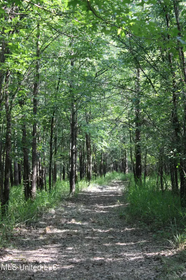 Lambert, MS 38643,Eason Road