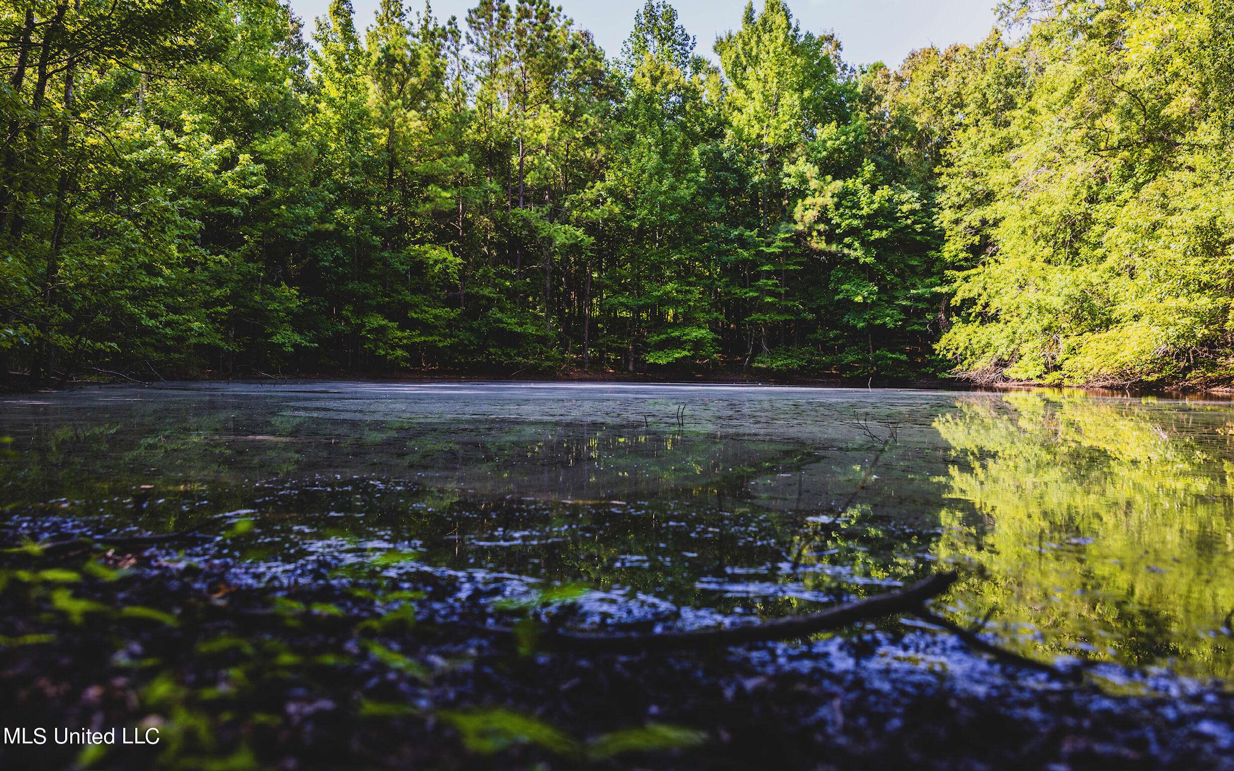 Bell Bottom Road, Cruger, MS 38924