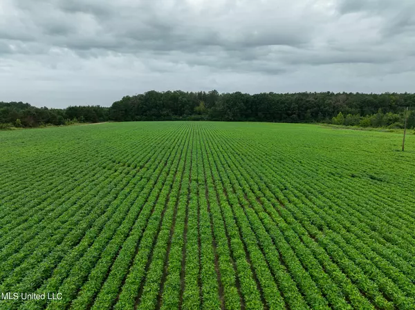 Forest, MS 39074,Russum Road