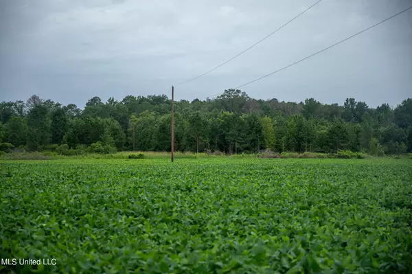 Forest, MS 39074,Russum Road