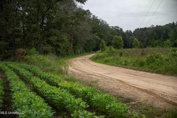 Forest, MS 39074,Russum Road