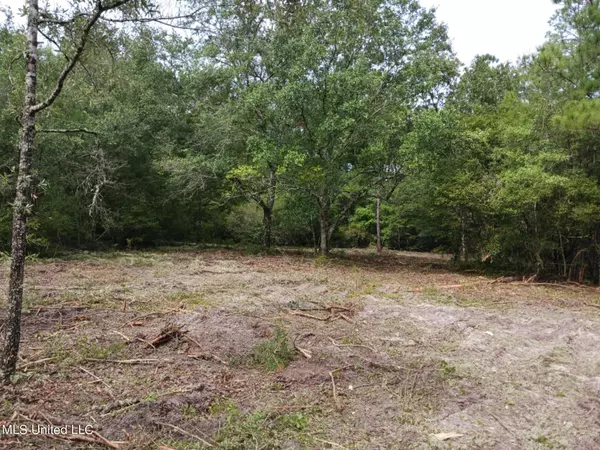 6.8acres Wilford Ladner Road, Lumberton, MS 39455