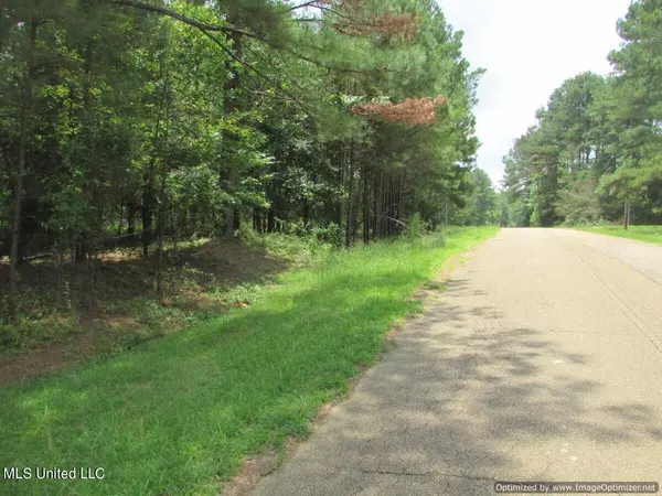 Canton, MS 39046,Lakeshire Parkway