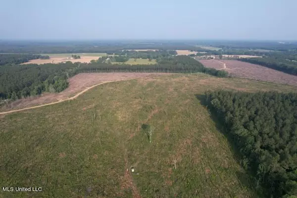 Mink Branch Road, Pelahatchie, MS 39145