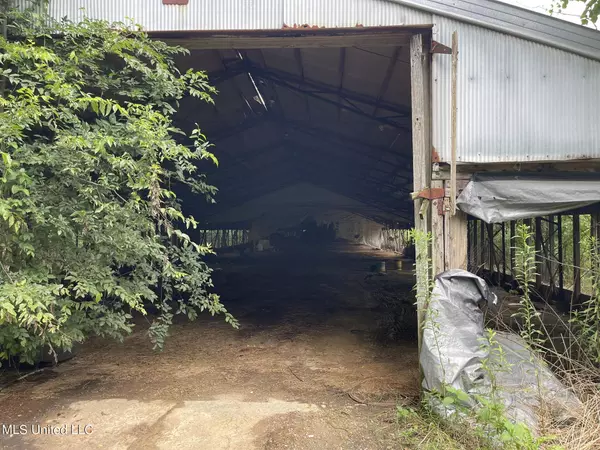 Lena, MS 39094,Highway 483