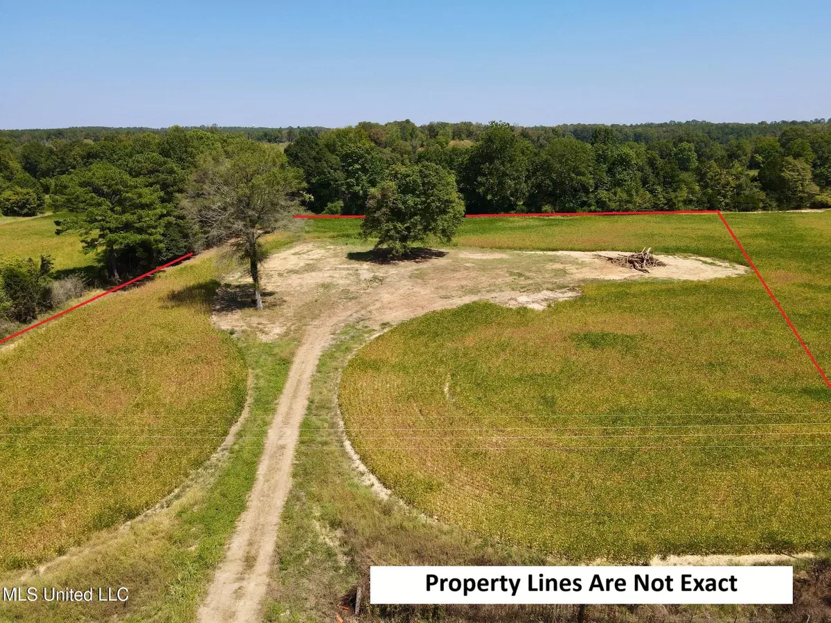 Banner, MS 38913,Ms-331