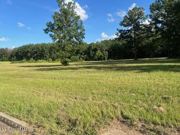 0 Morgan'S Lane Lane, Brandon, MS 39042