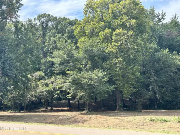 2 Fogg Road, Nesbit, MS 38651