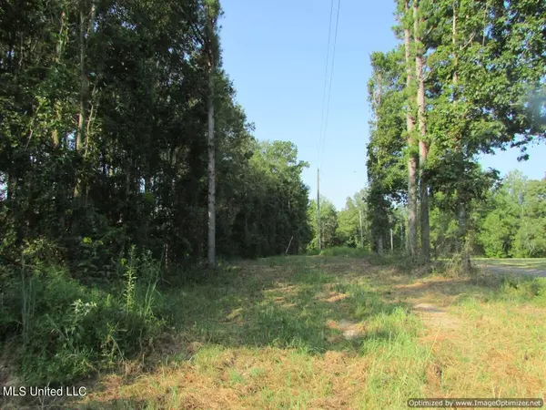 Brandon, MS 39042,Thornton Road Road