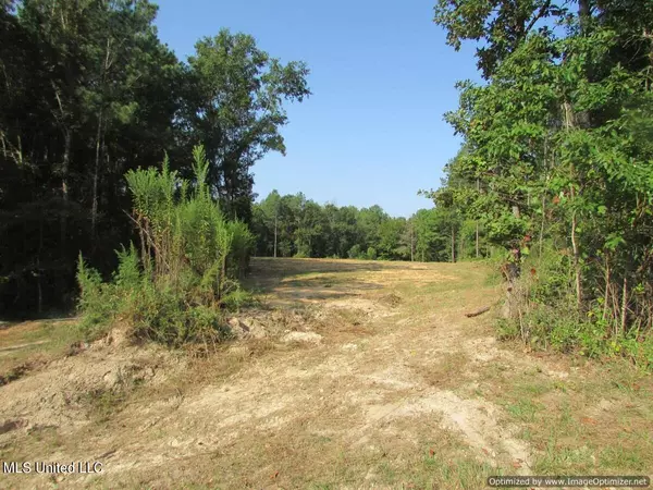 Brandon, MS 39042,Thornton Road Road