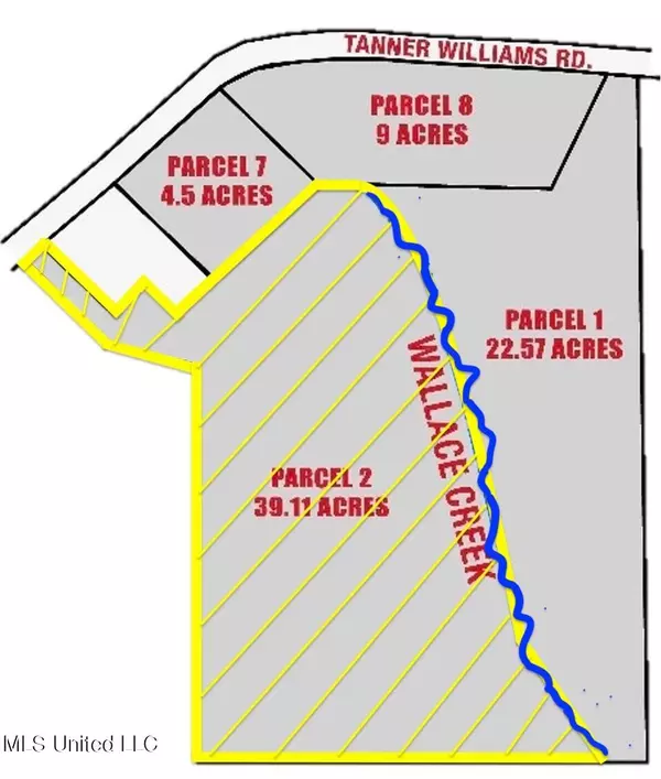 Tanner Williams Rd -Parcel 2, Lucedale, MS 39452