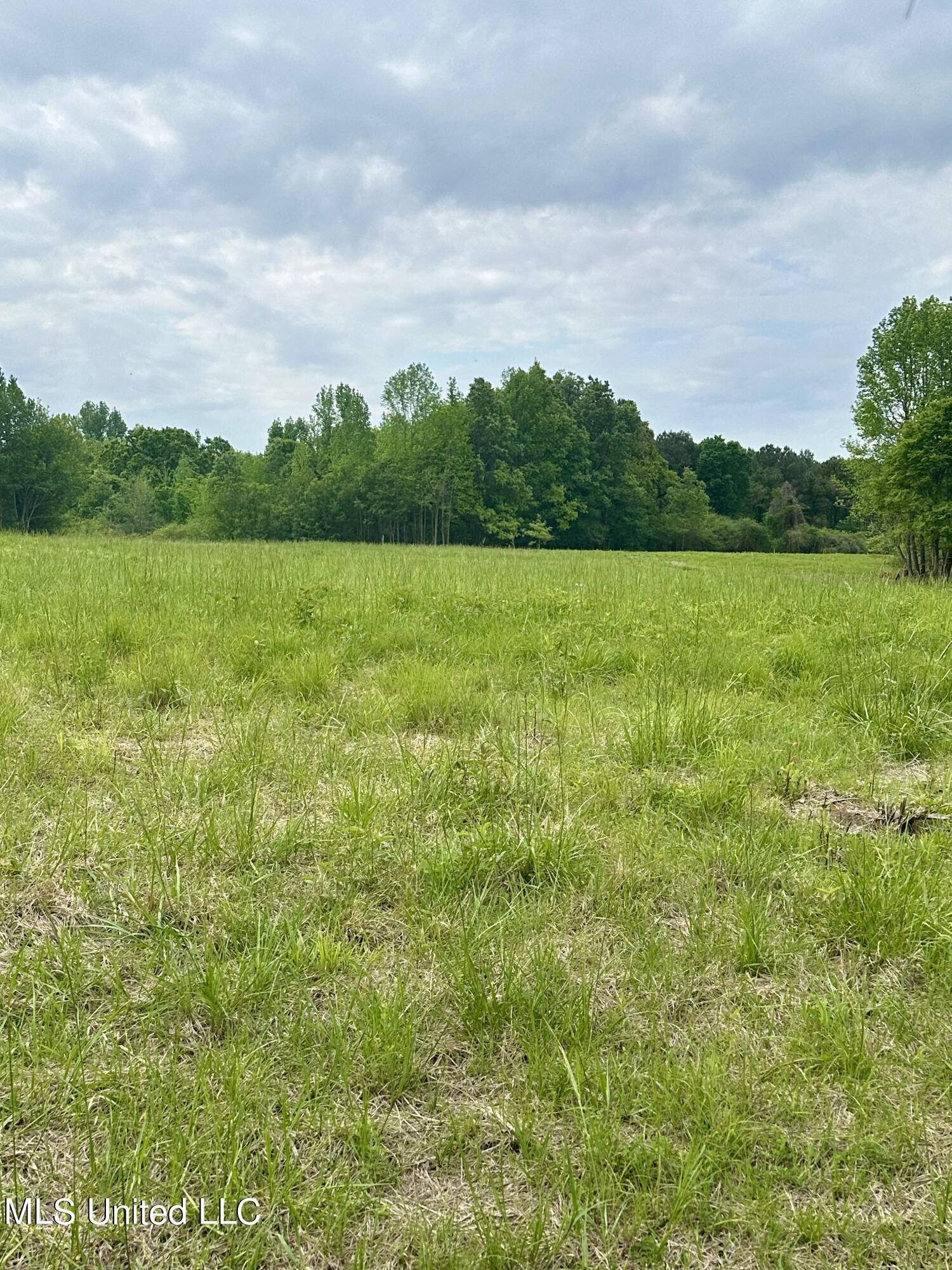 Enid, MS 38927,0 Pickle Street